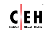 certfied ethical hacker